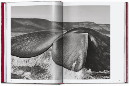 Sebastião Salgado. Genesis. 45th Ed. (English) Book
