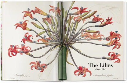 Redouté. The Book of Flowers (German, French, English) Book