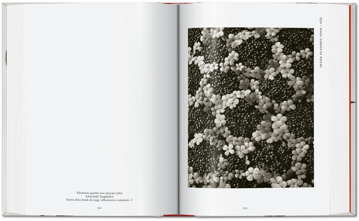 Karl Blossfeldt. The Complete Published Work. 45th Ed. (German, French, English) Book