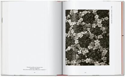 Karl Blossfeldt. The Complete Published Work. 45th Ed. (German, French, English) Book