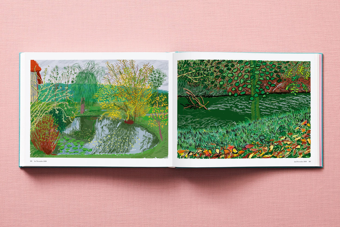 David Hockney. 220 for 2020 (English) Book