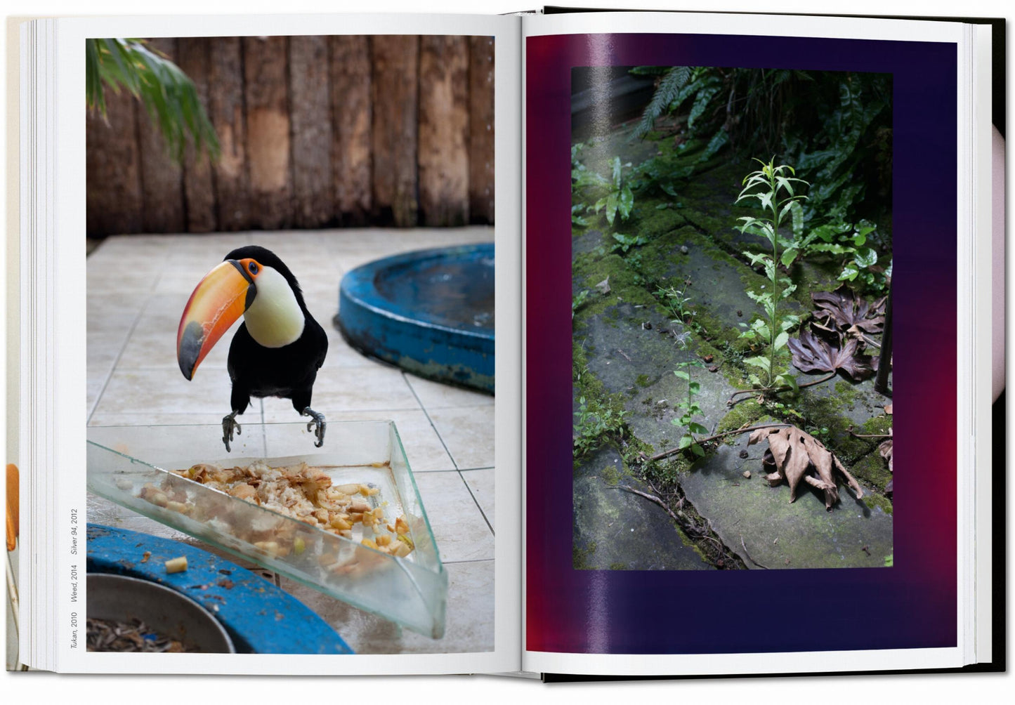 Wolfgang Tillmans. four books. 45th Ed. (English) Book