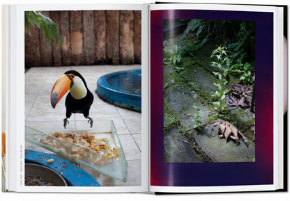 Wolfgang Tillmans. four books. 45th Ed. (English) Book