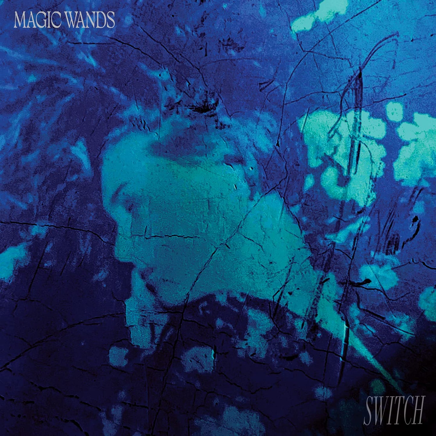Magic Wands - Switch [LP] Vinyl Record Album Cover