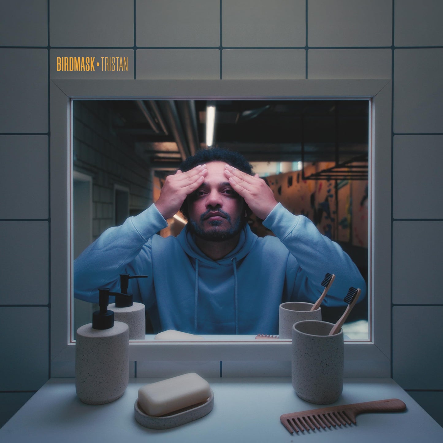 Birdmask - Tristan [LP] Vinyl Record Album Cover