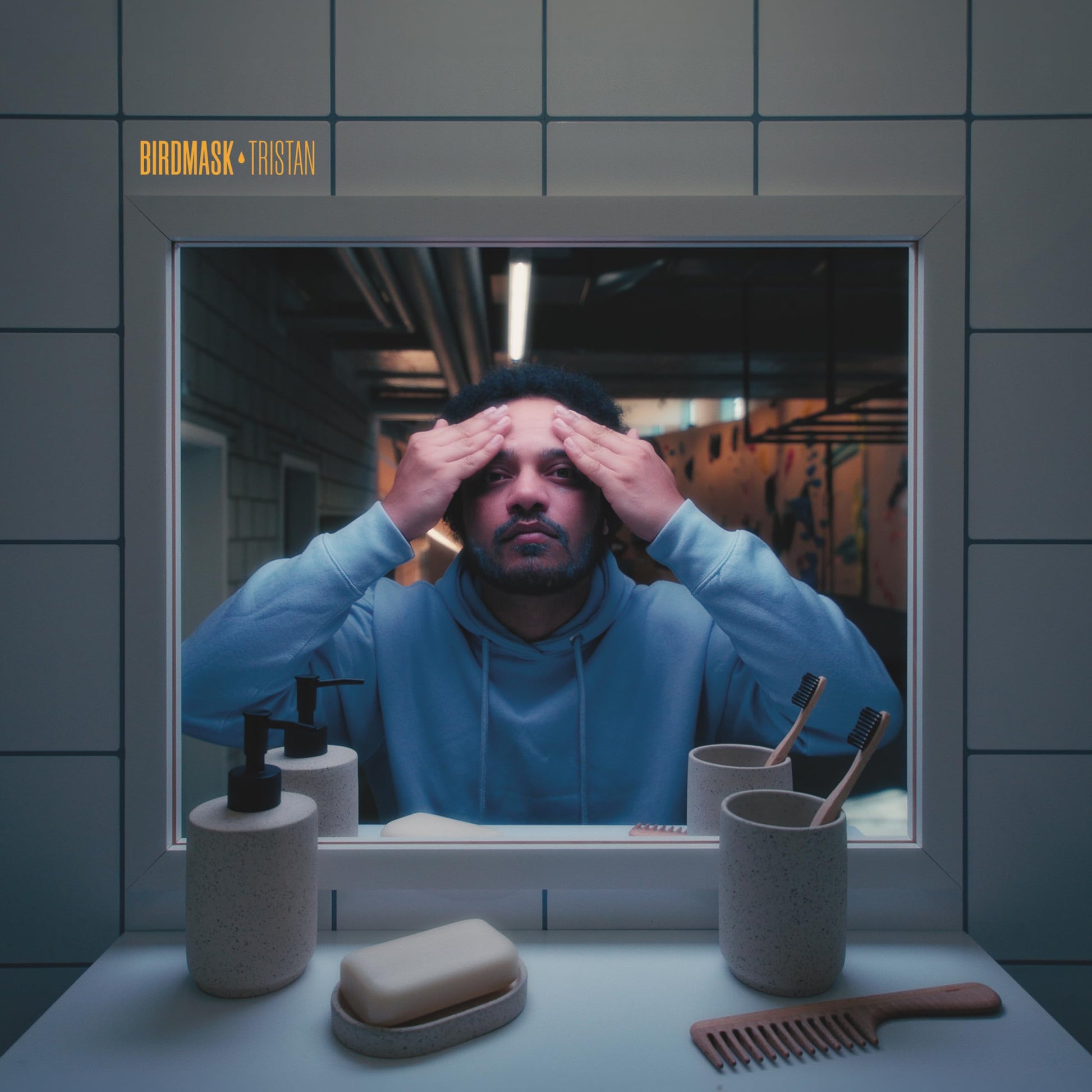 Birdmask - Tristan [LP] Vinyl Record Album Cover