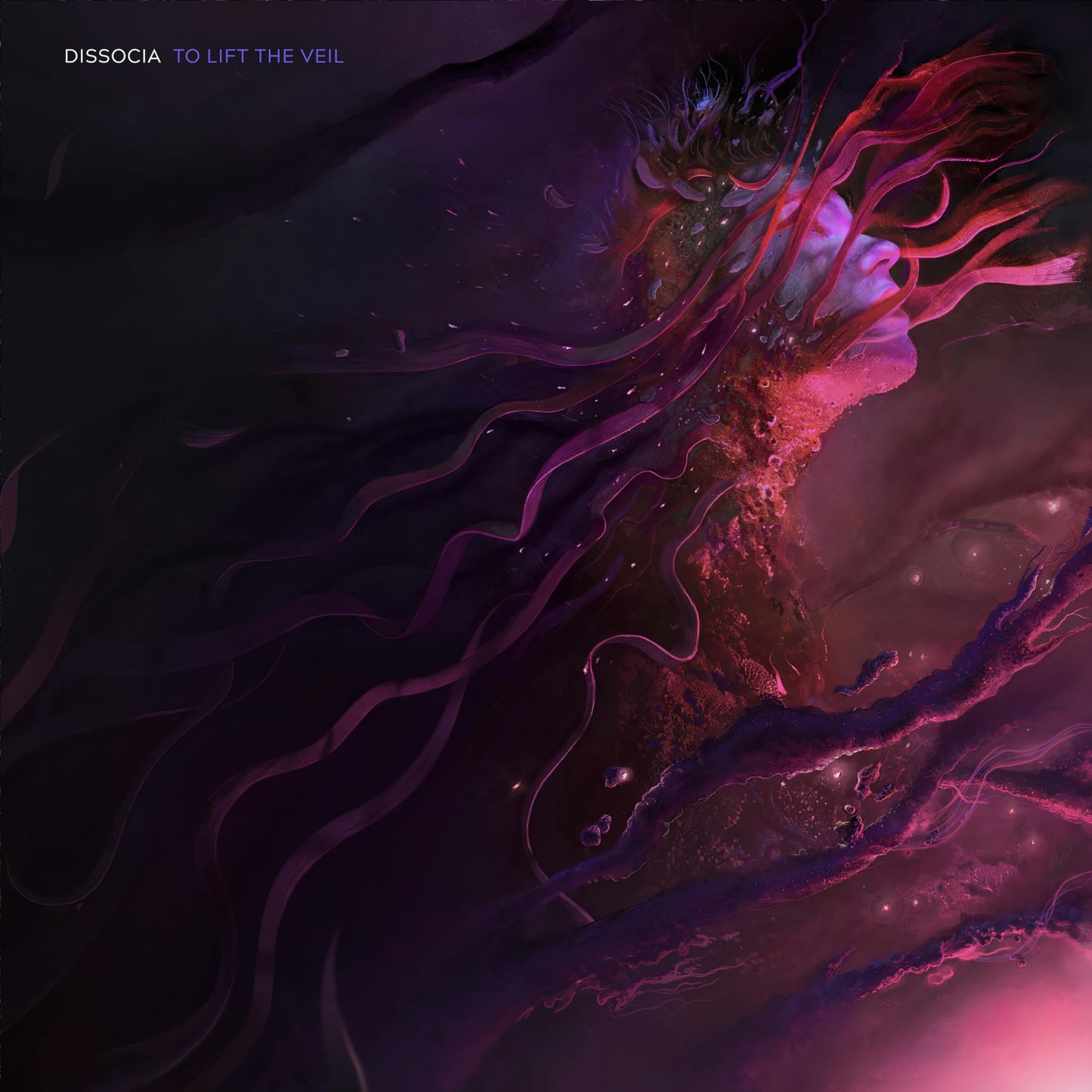 Dissocia - To Lift The Veil (Random Eco-Mix) [LP] Vinyl Record Album Cover