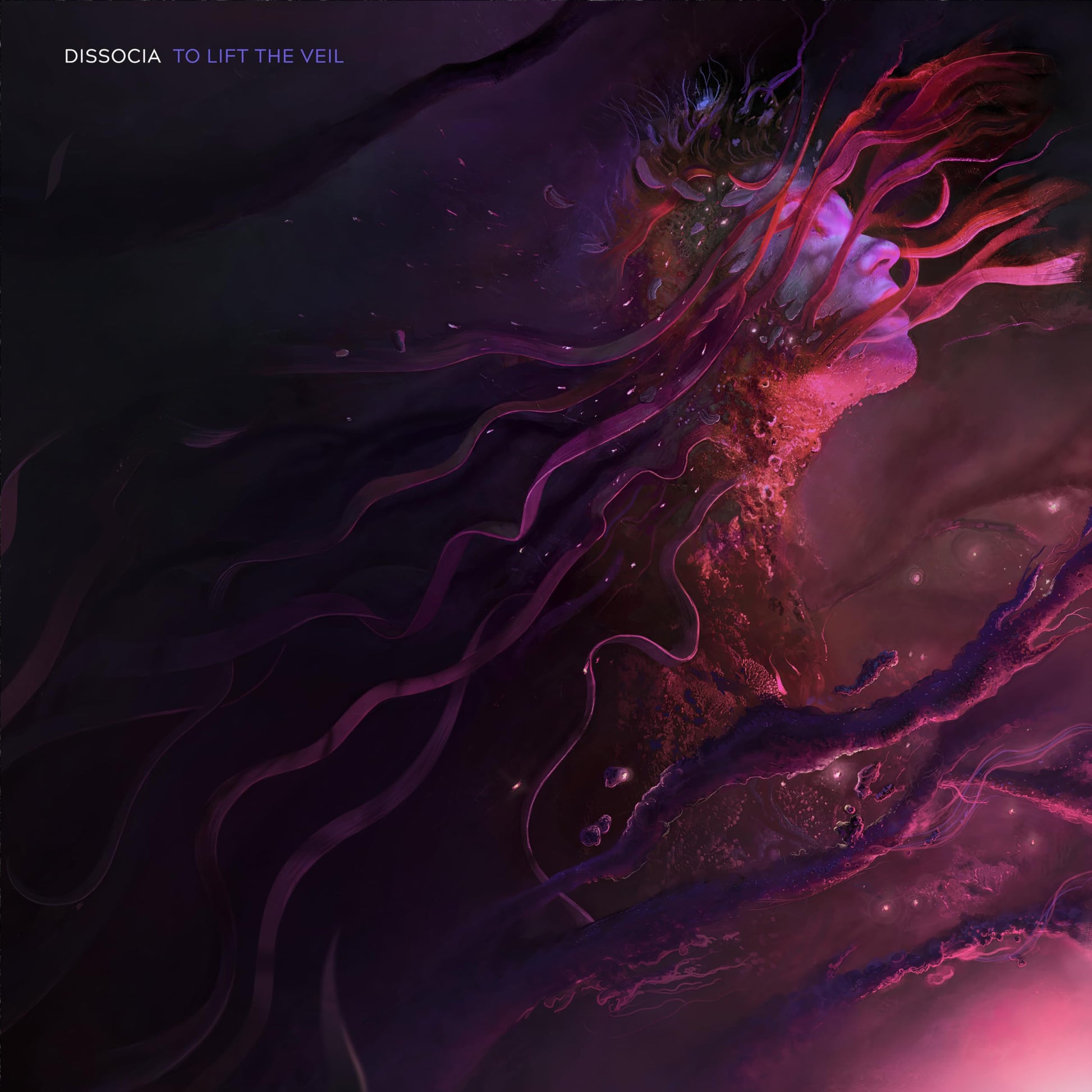Dissocia - To Lift The Veil (Random Eco-Mix) [LP] Vinyl Record Album Cover