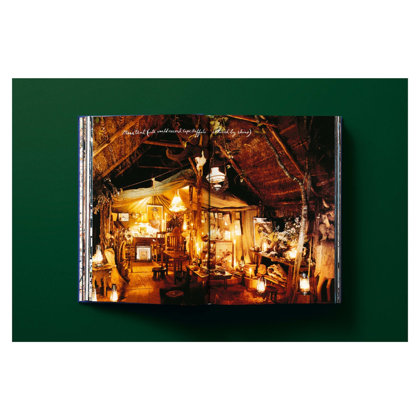 Peter Beard (German, French, English) Book