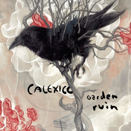 Garden Ruin [LP] Vinyl Record