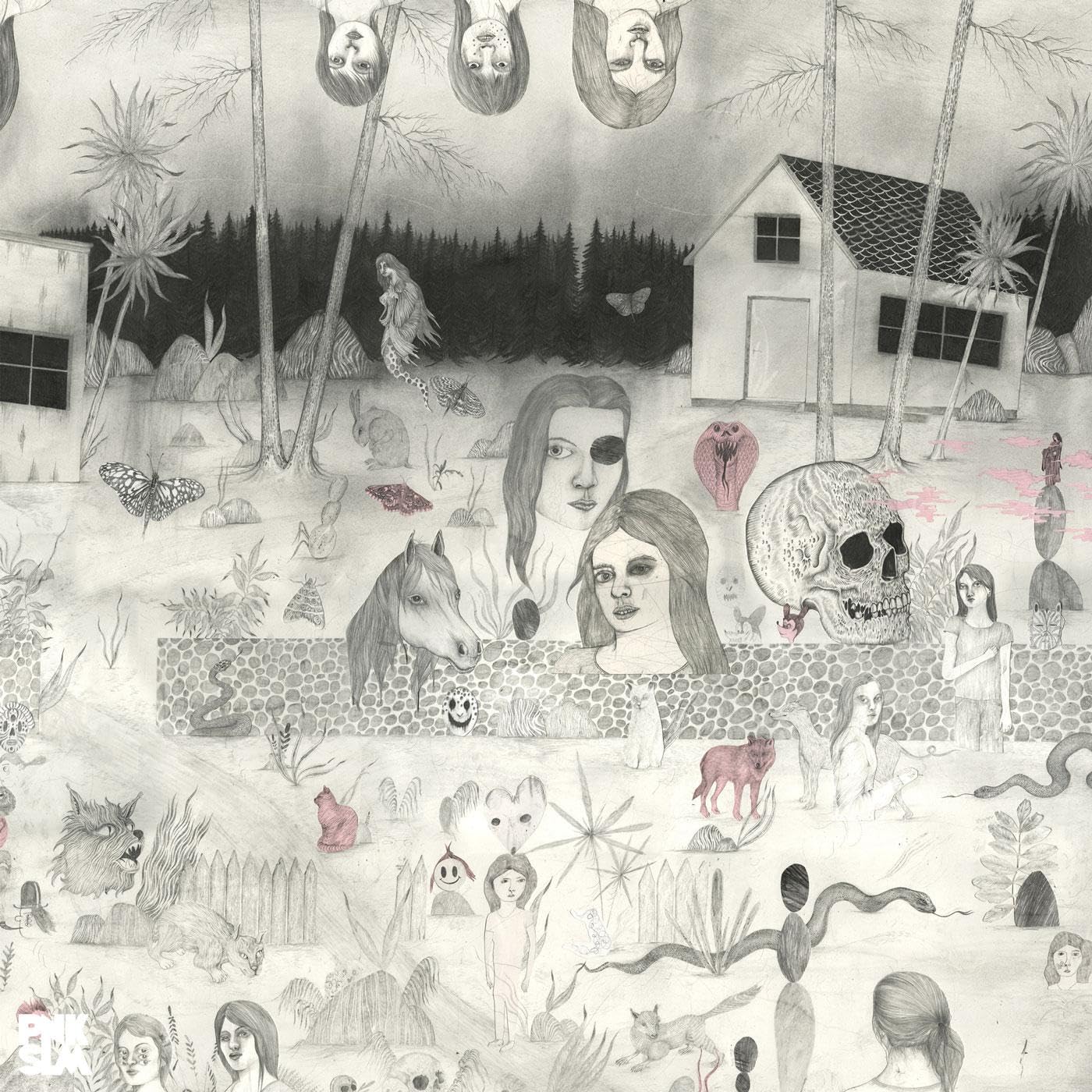 Sudakistan - Swedish Cobra [LP] Vinyl Record Album Cover