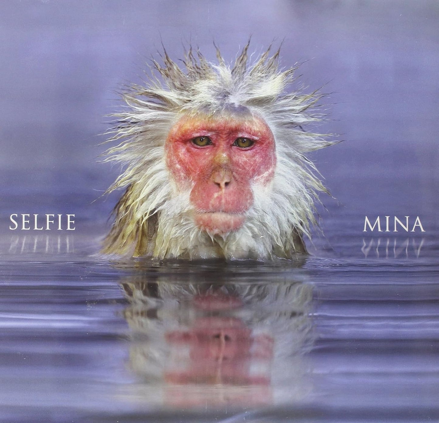 Mina - Selfie [LP] Vinyl Record Album Cover