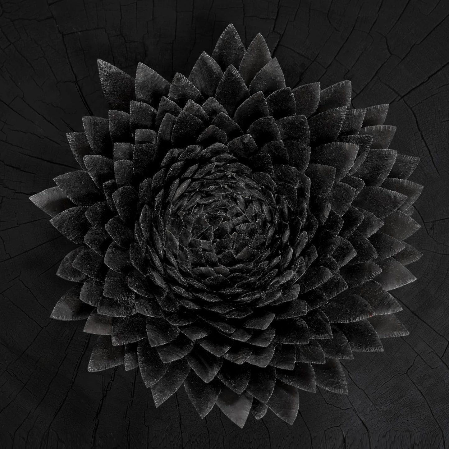 Jonsi - Obsidian [LP] Vinyl Record Album Cover