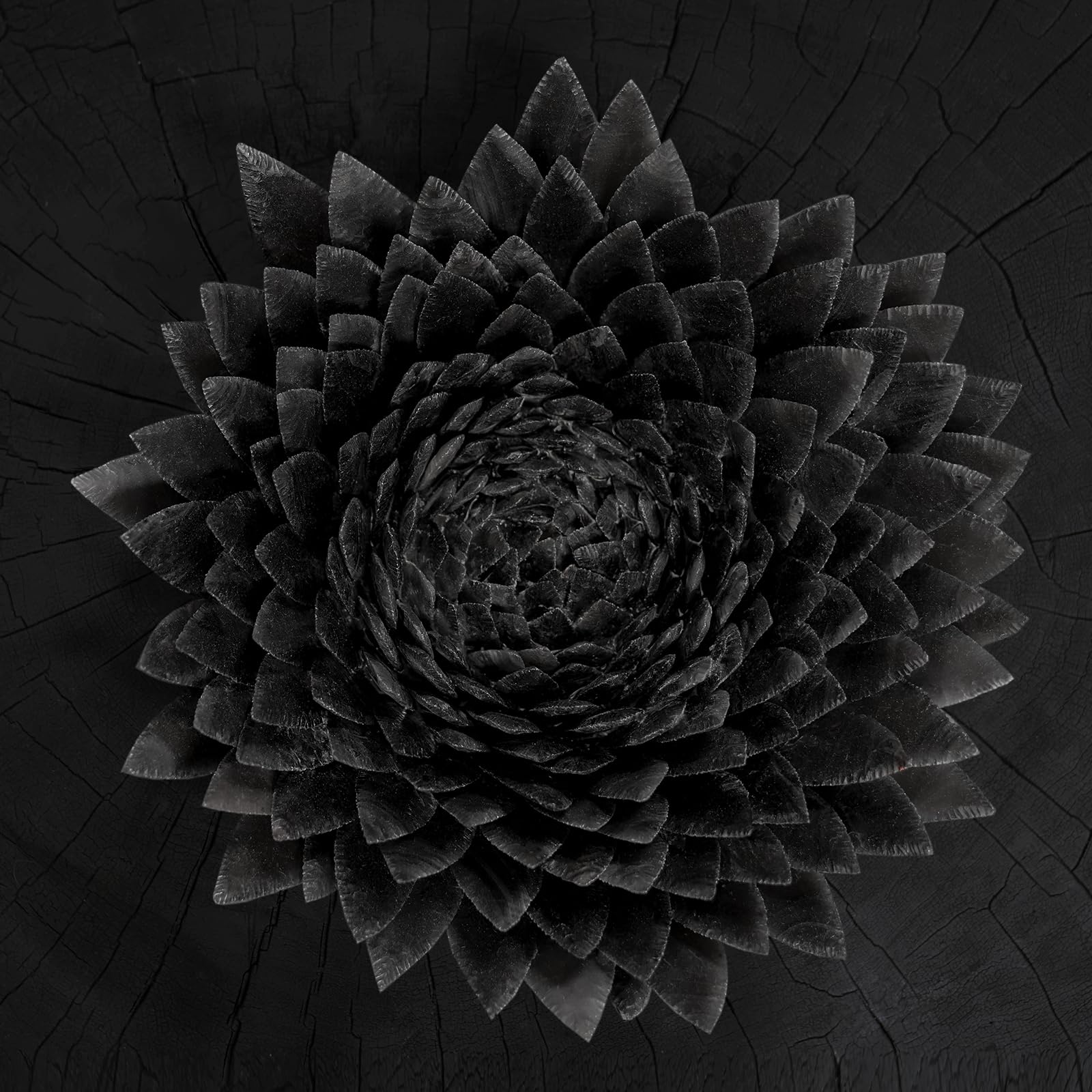 Jonsi - Obsidian [LP] Vinyl Record Album Cover