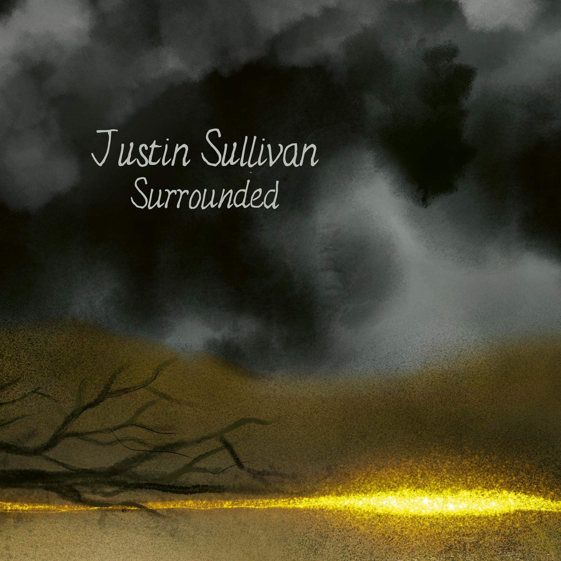 Justin Sullivan - Surrounded [LP] Vinyl Record Album Cover