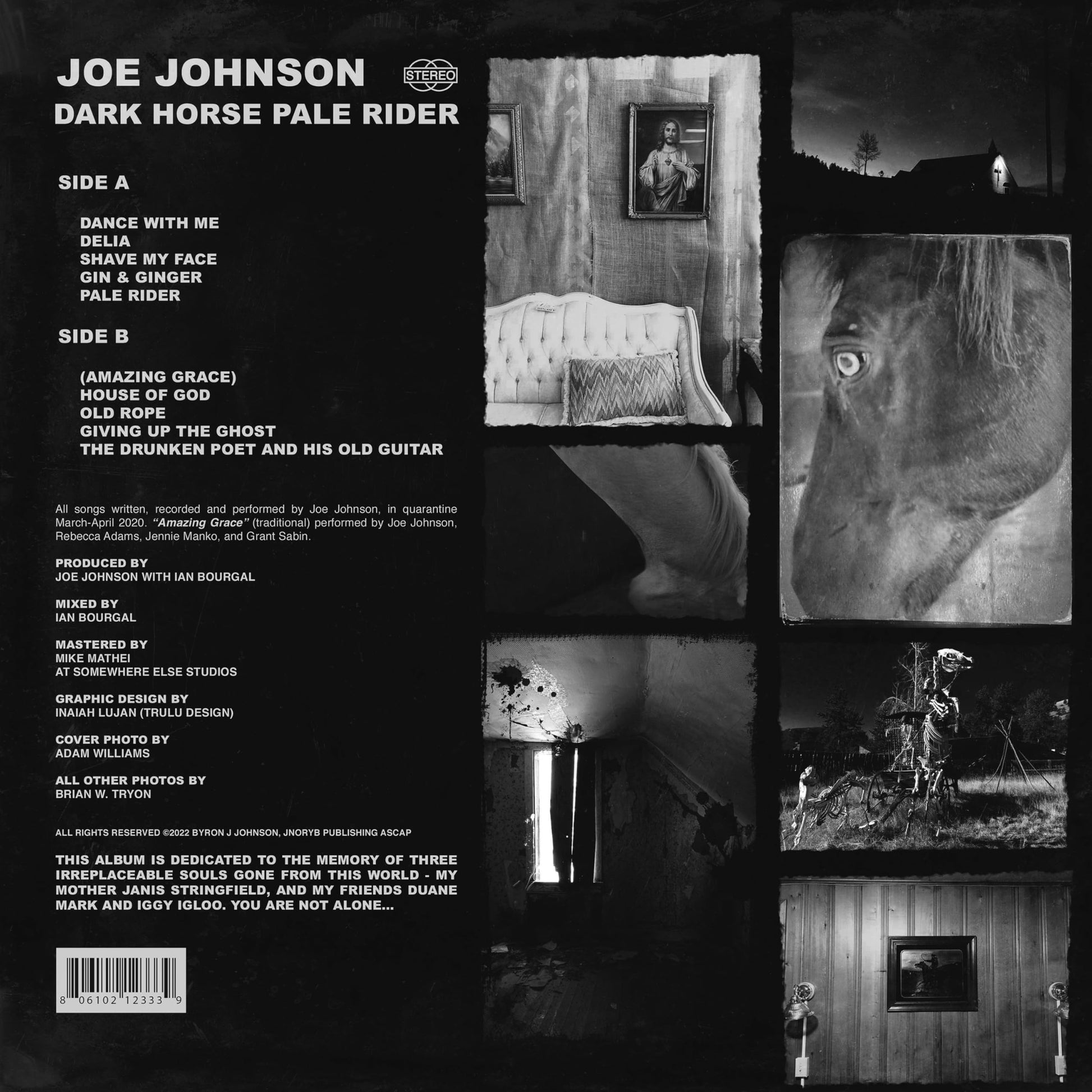 Joe Johnson - Dark Horse Pale Rider [LP] Vinyl Record Album Cover