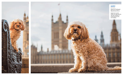 Canines of London