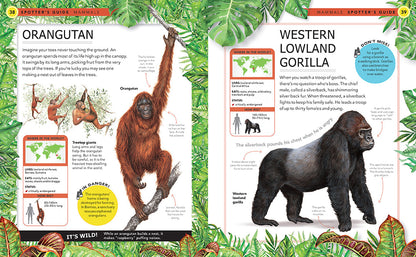 Jungle Animals