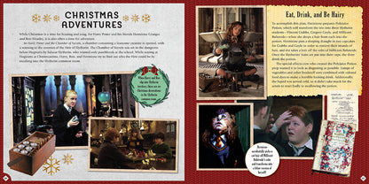 Harry Potter: Christmas at Hogwarts