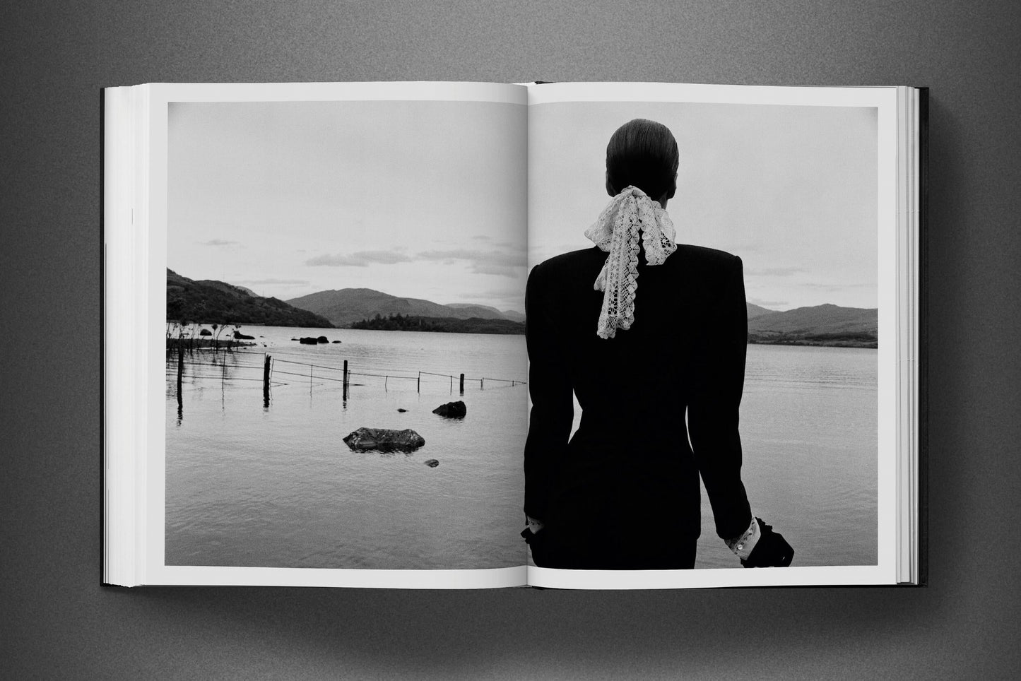 David Bailey. Eighties (English) Book
