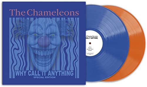 Why Call It Anything (2Lp Coloured Vinyl) Vinyl Record