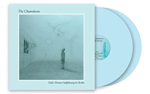 Dali'S Picture / Auffuhrung In Berlin (2Lp Coloured Vinyl) Vinyl Record