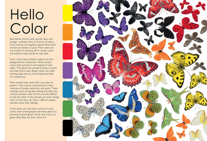 Colorful Creatures
