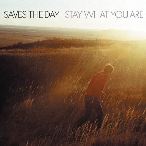 Saves the Day - Stay What You Are Vinyl Record