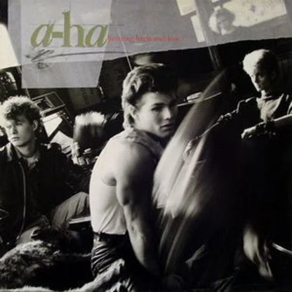 a-ha - Hunting High and Low Vinyl Record