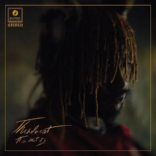 Thundercat - It Is What It Is Vinyl Record