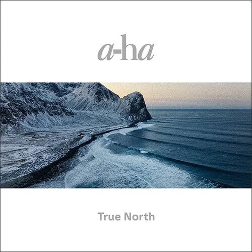 a-ha - True North [2LP] Vinyl Record