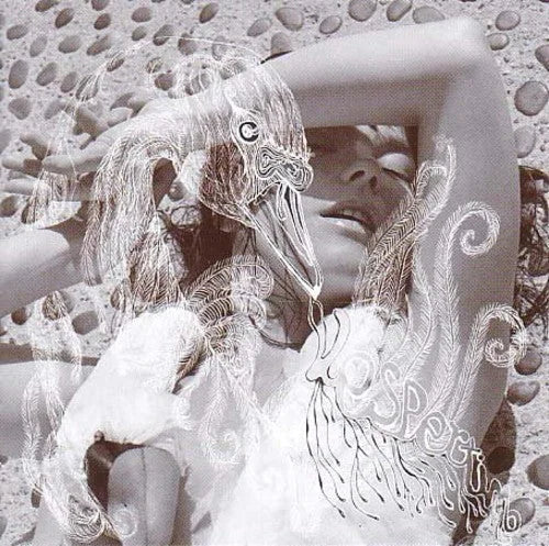 Björk - Vespertine Vinyl Record