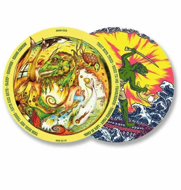 King Gizzard and the Lizard Wizard - Teenage Gizzard [Picture Disc] Vinyl Record