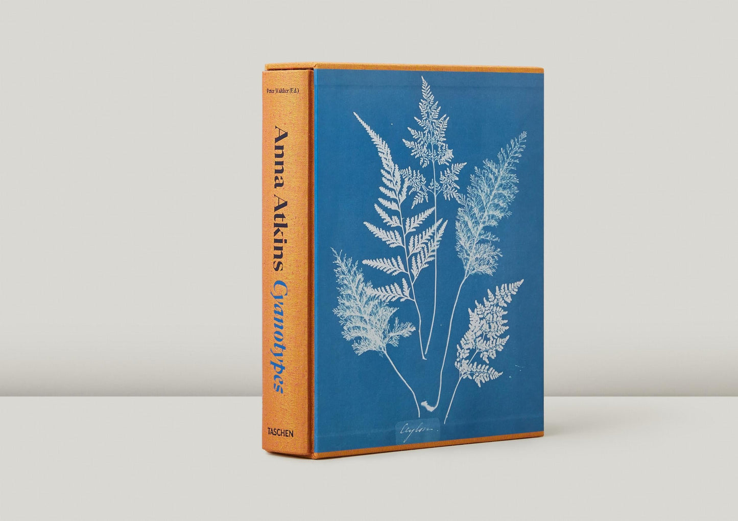 Anna Atkins. Cyanotypes (German, French, English) (FFE) Book
