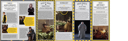 Harry Potter: Hufflepuff Magic