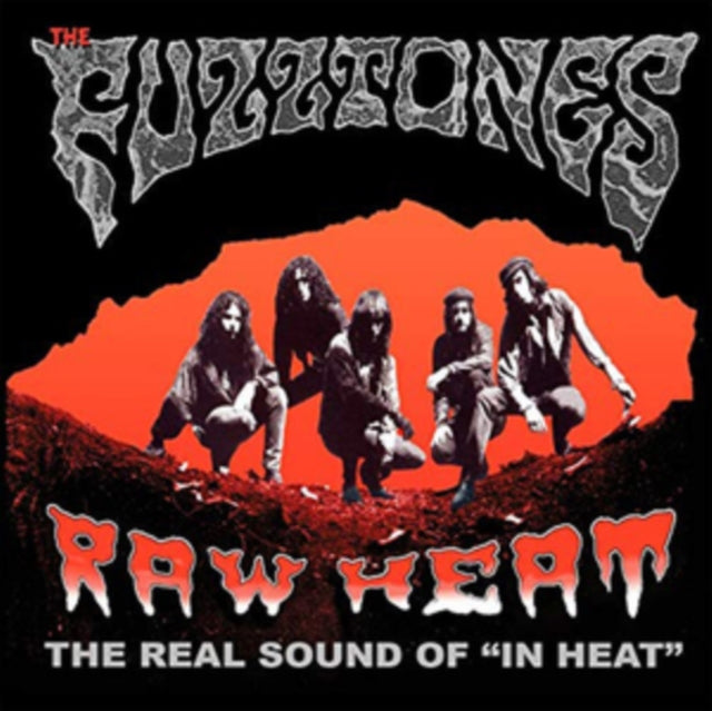 Fuzztones - Raw Heat: The Real Sound Of In Heat - LP Vinyl Record