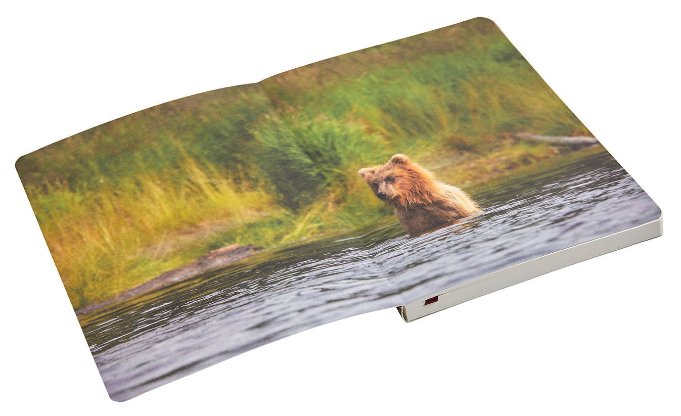 Refuge: Purple Fireweed Softcover Notebook