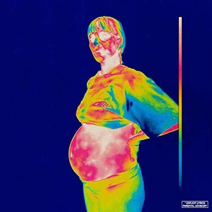 BROCKHAMPTON - iridescence [2LP] Vinyl Record