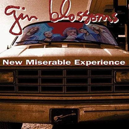 Gin Blossoms - New Miserable Experience Vinyl Record