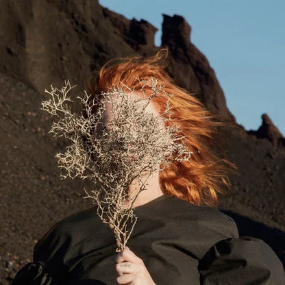 Goldfrapp - Silver Eye Vinyl Record