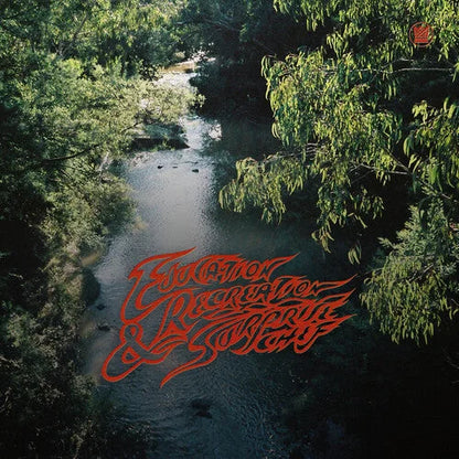 Surprise Chef - Education & Recreation Vinyl Record