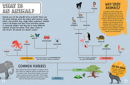 Big Questions for Little People: Animals