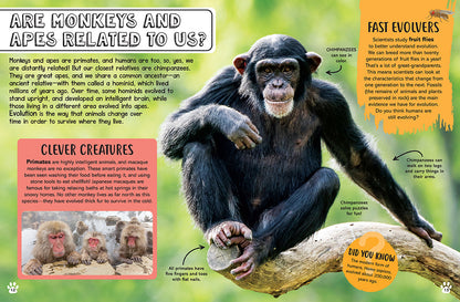 Big Questions for Little People: Animals
