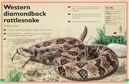The Magnificent Book of Dangerous Animals