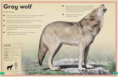 The Magnificent Book of Dangerous Animals
