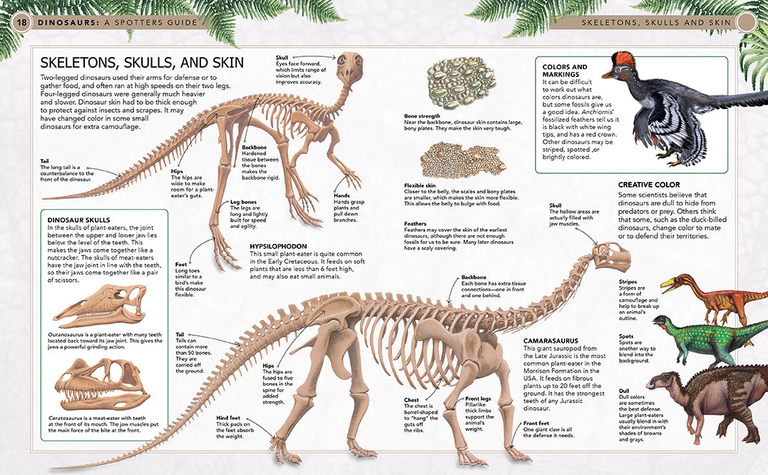 Dinosaurs
