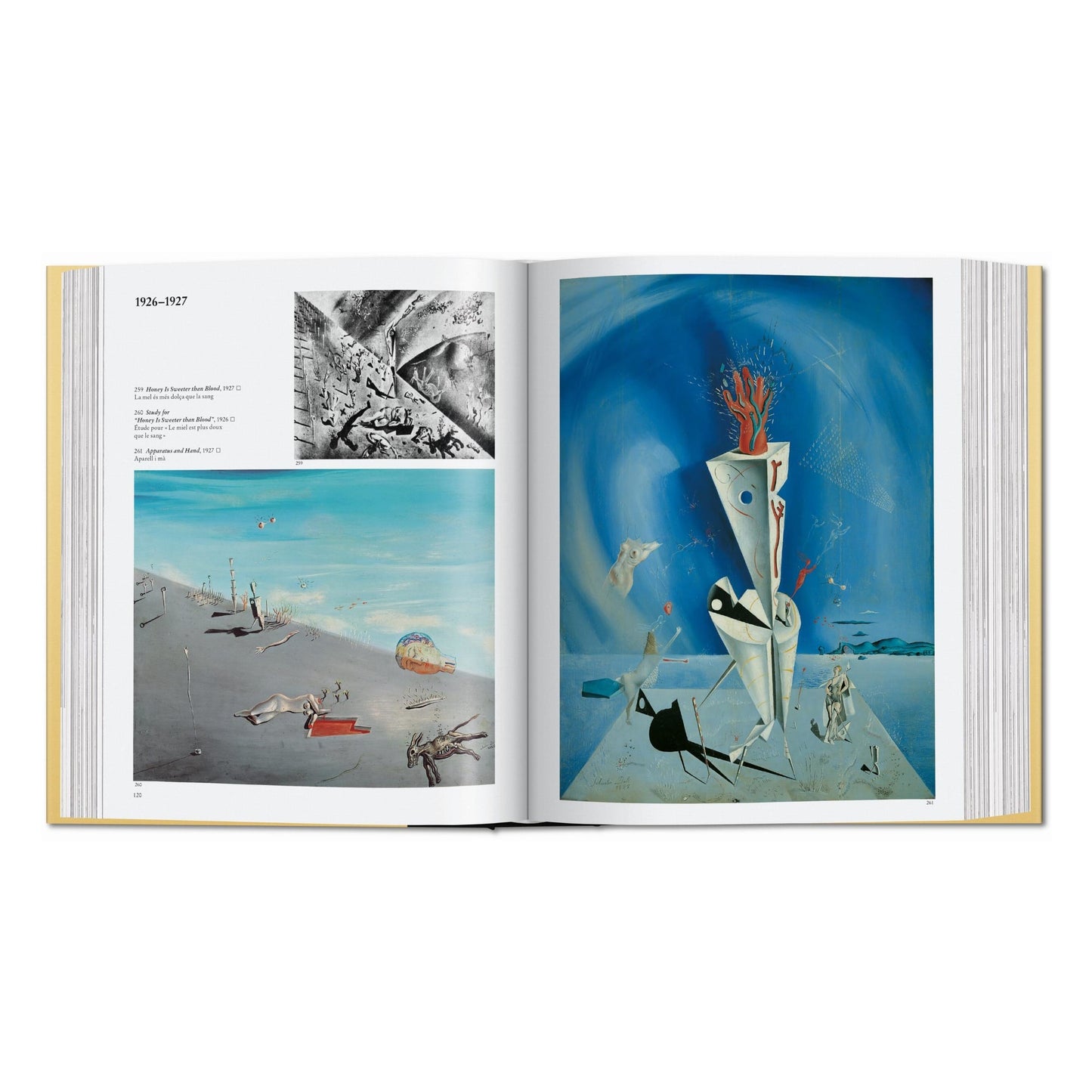 Dalí. The Paintings (English) Book
