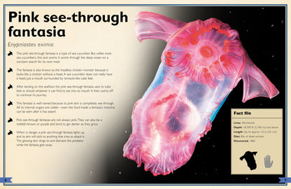 The Magnificent Book of Creatures of the Abyss