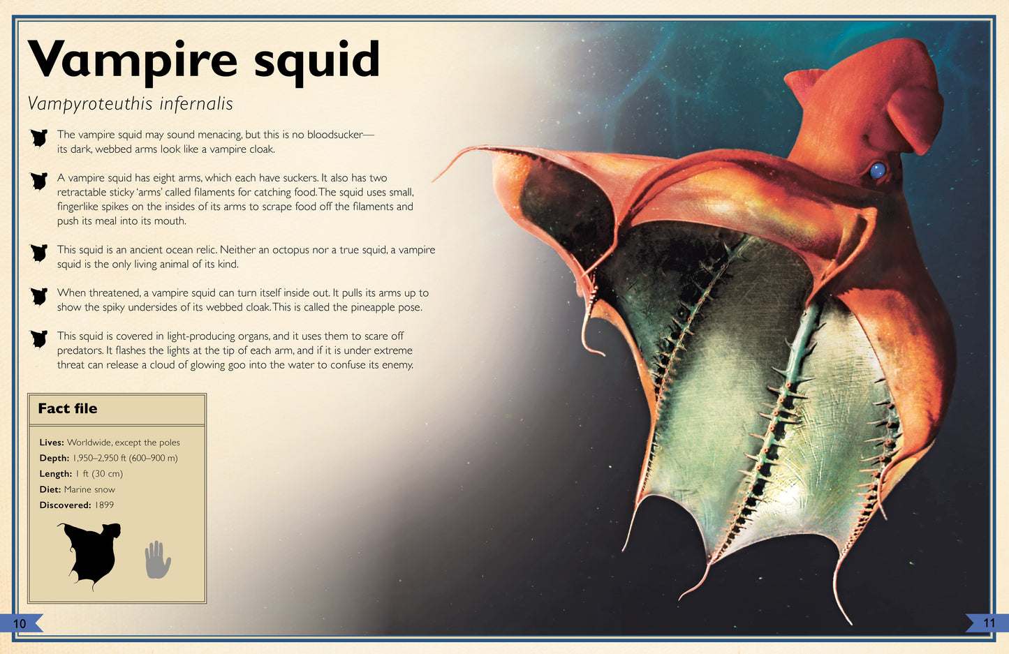 The Magnificent Book of Creatures of the Abyss
