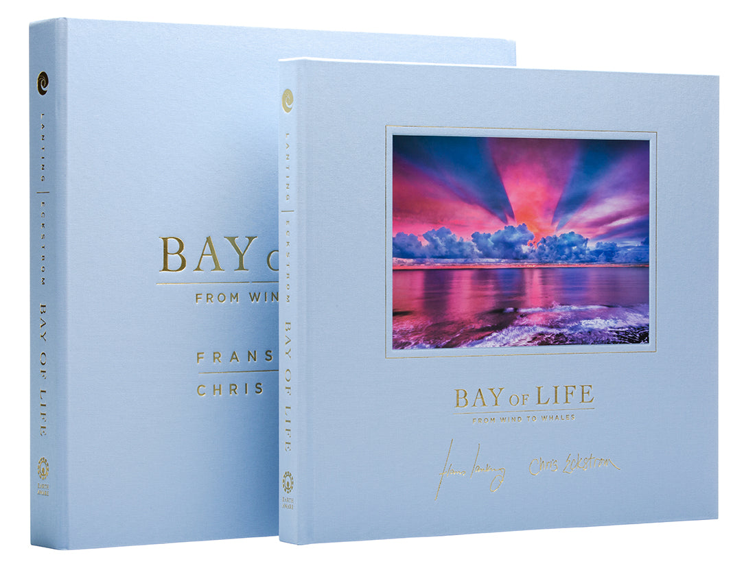 Bay of Life